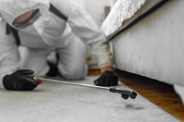Professional Cockroach Control technician working in Galt, CA